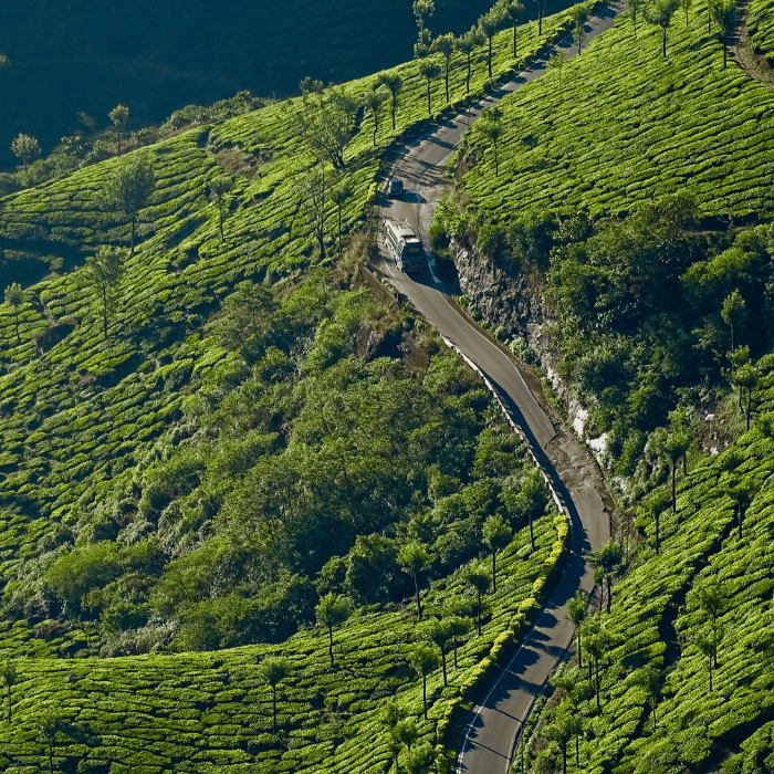 Munnar