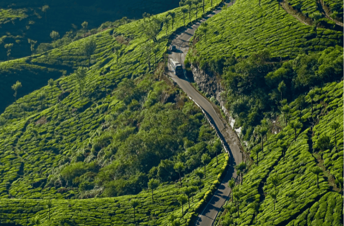 Munnar Special