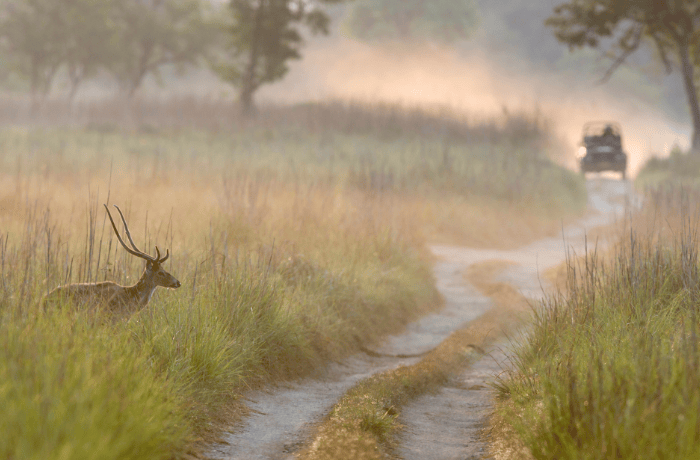 A Trip To Corbett